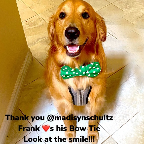 Meet your Posher, Erica - Picture 5 of 13